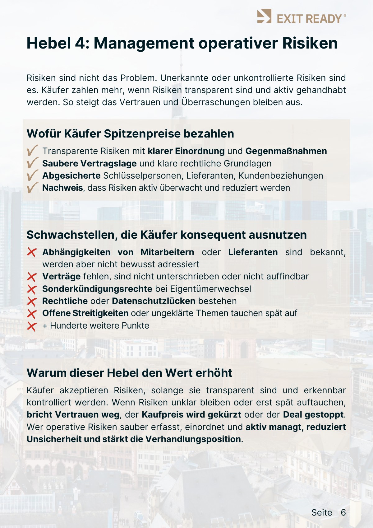 Leitfadenseite zum Hebel: Management operativer Risiken